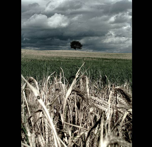 Samotinký sám