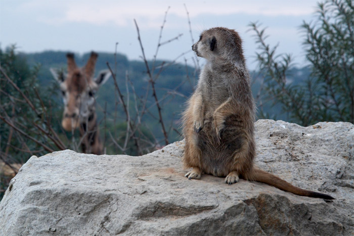 -= Nikdy nevis kdo Te sleduje =-