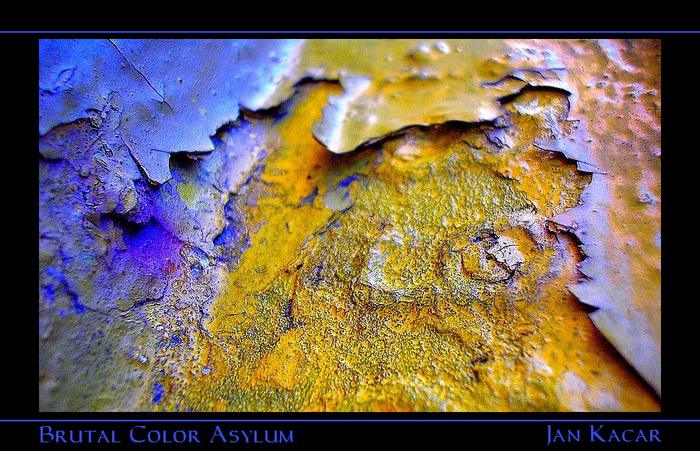 Brutal Color Asylum