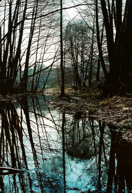Zrkadlenie podôb II.