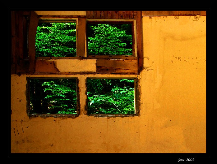 windows
