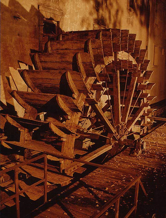 Už za chvilku bude podzim