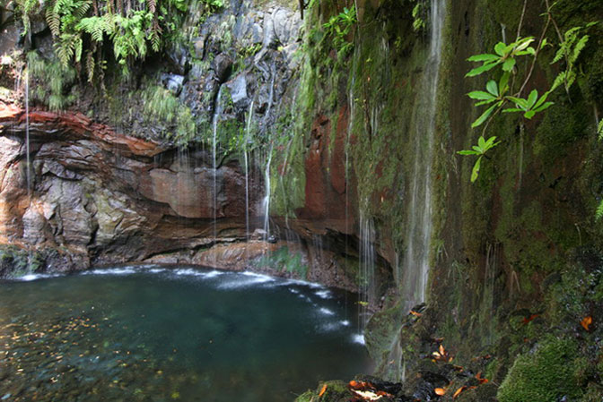 25 Fontes Madeira