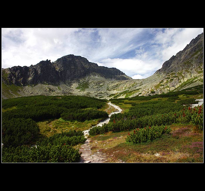 Furkotská dolina