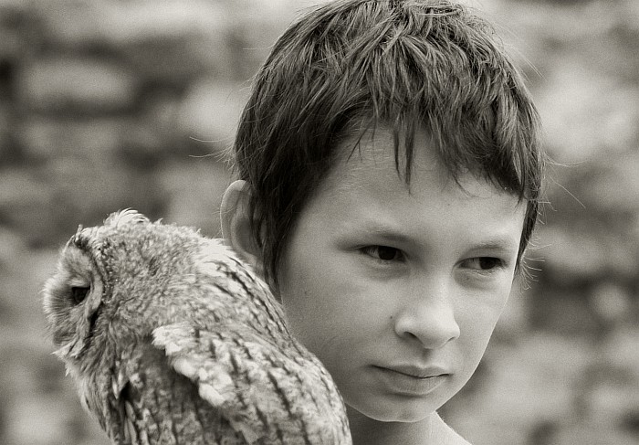 zaľúbení II.