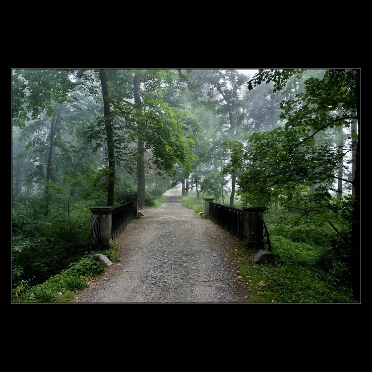 Návraty do veltruského parku I.