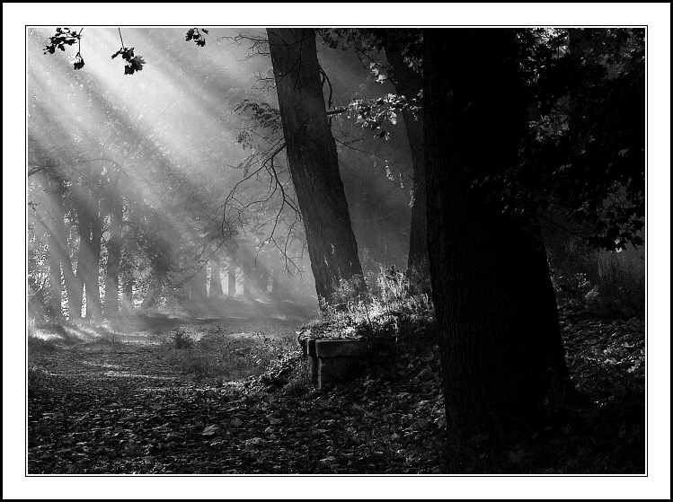 Návraty do veltruského parku V.