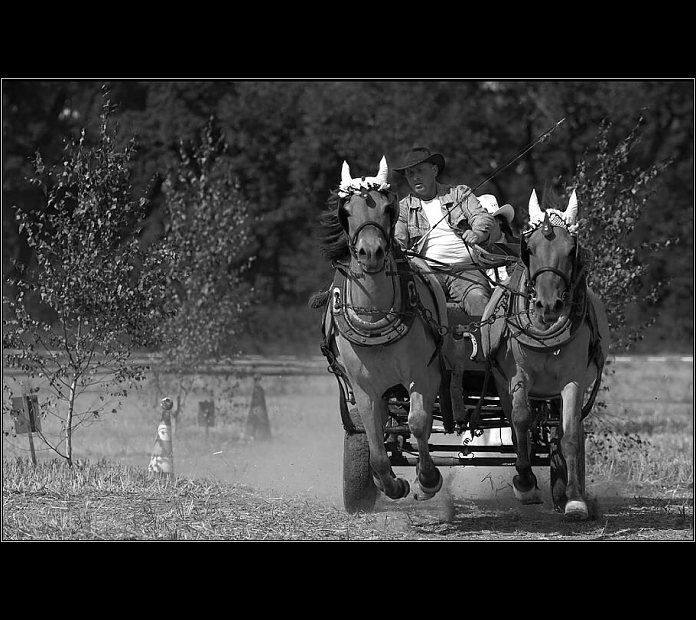 Vozatajské závody.