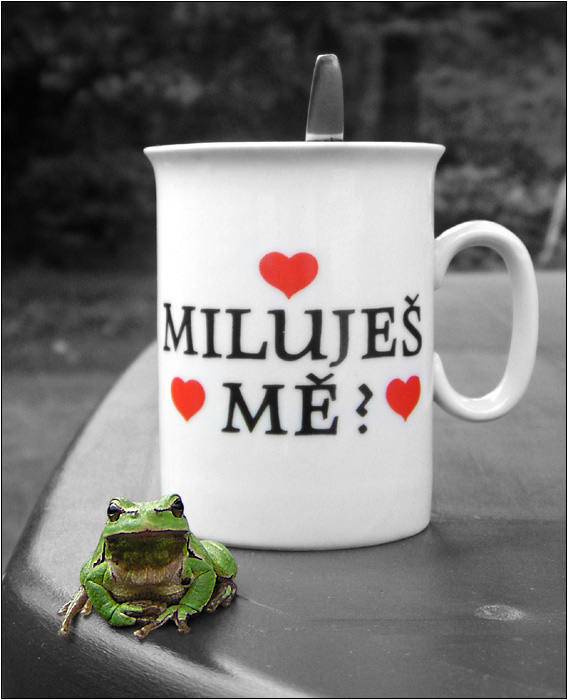 Němý dotaz němé žabky