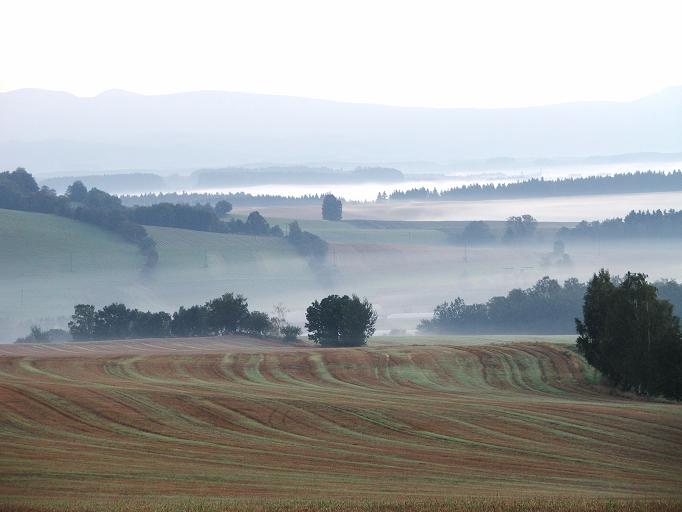 svitani