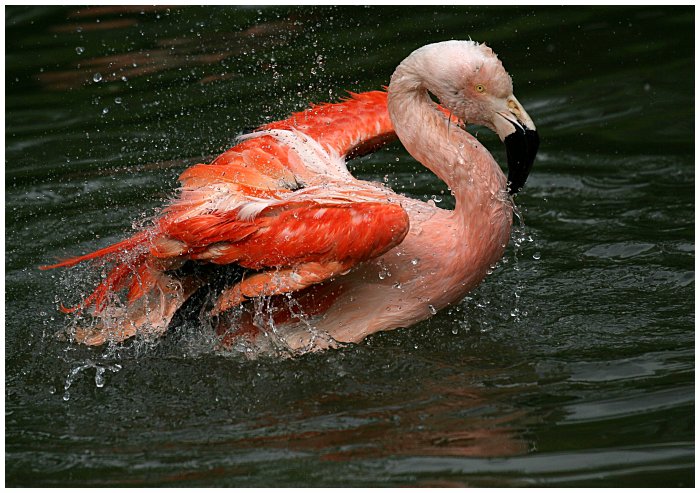 Mytí, včetně podvozku, prosím...