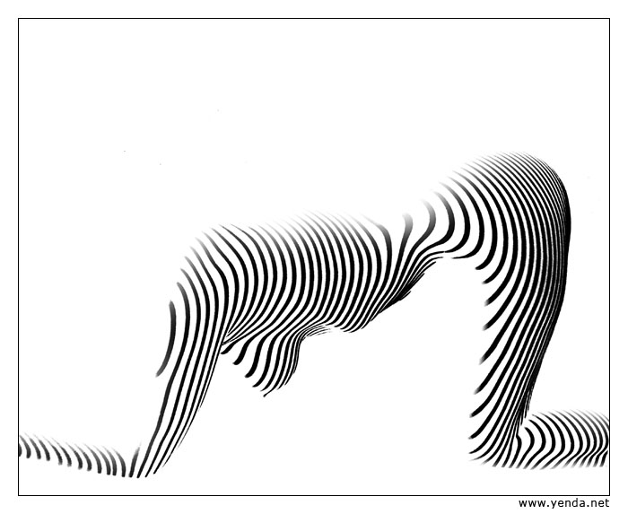 dopolední pastava - pro oči - zebry