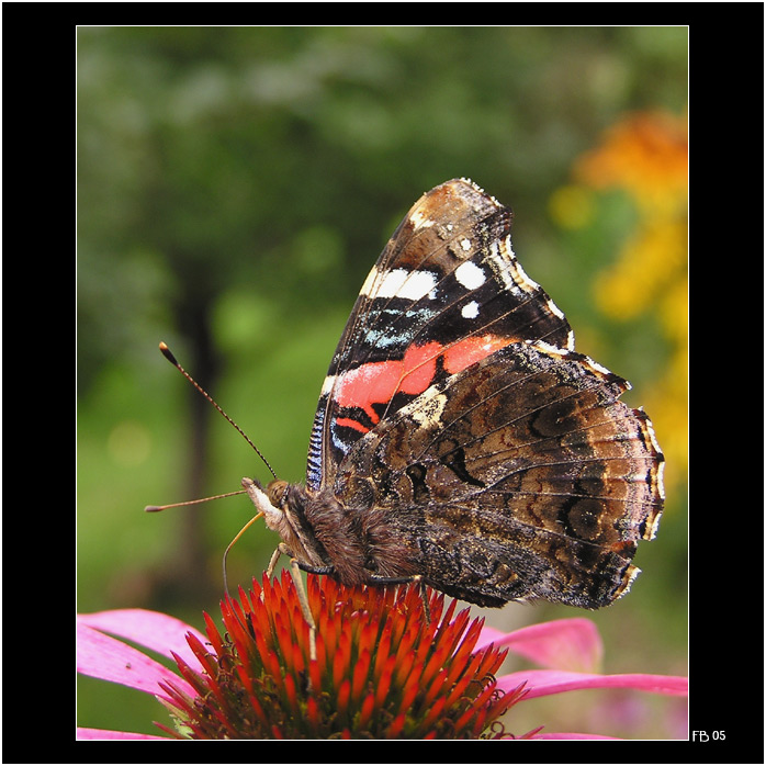 *** sosáčkama na stééééč! ***