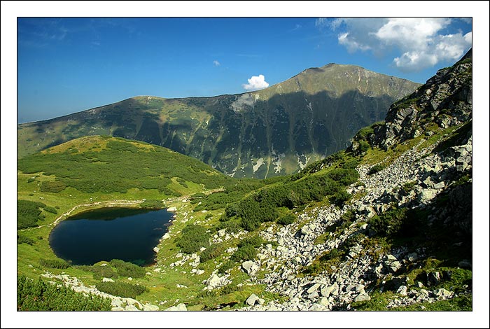 roháče VII