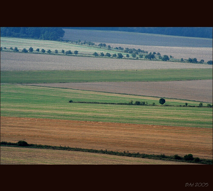 Letiště