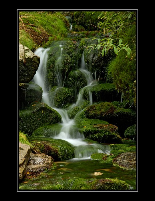 Šumava Šumavěnka...