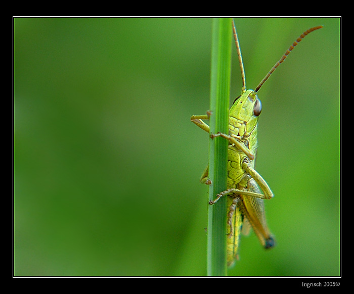 .:jumper:.