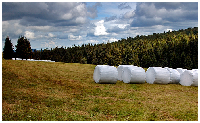 nástup k balíkové bitvě