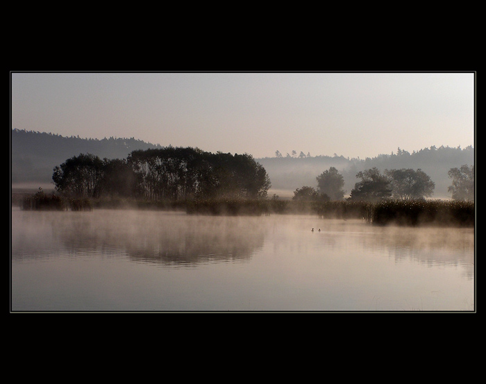 Komárovský rybník II