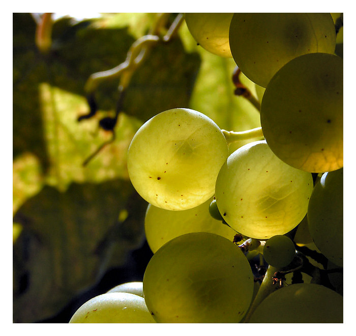 Babí léto přišlo