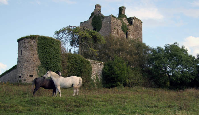 Zricenina poblis vesnice Fethard v Irsku