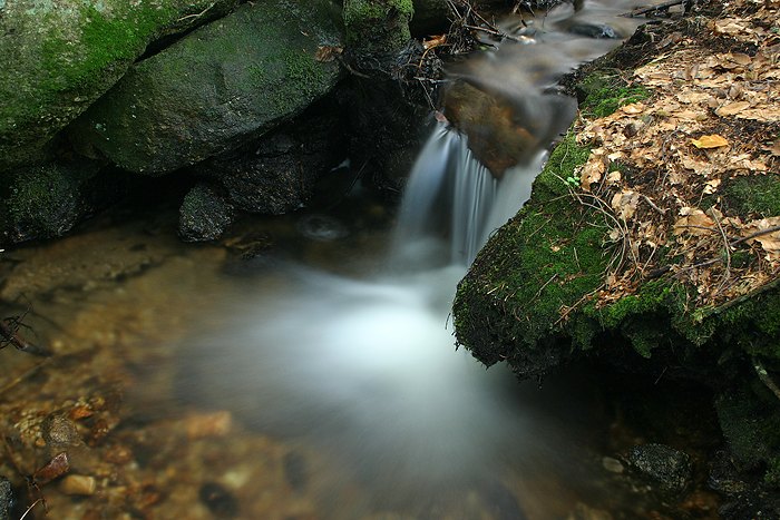 Voděnka šumavská I