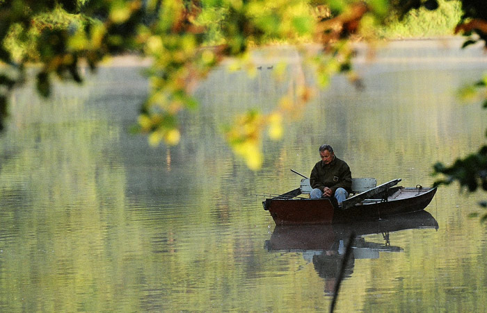 Čekání na úlovek