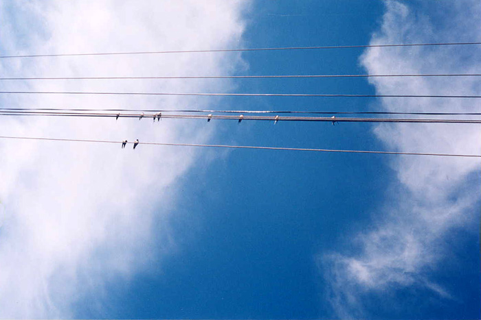 rumunske fragmenty 8