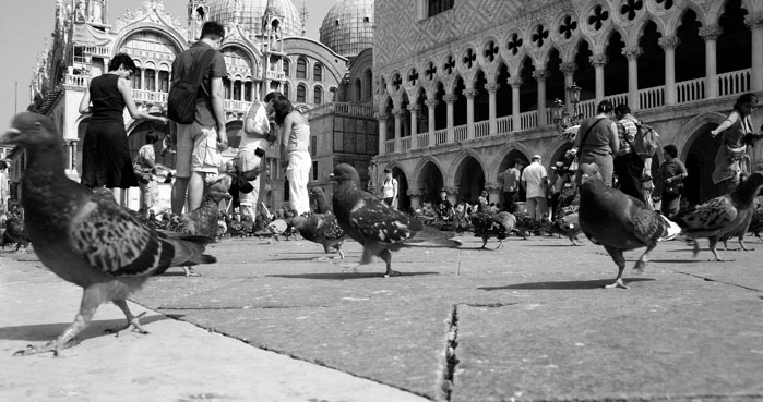 ++ MASTERS OF VENEZIA ++