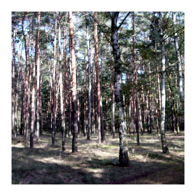 Lovcovy zápisky