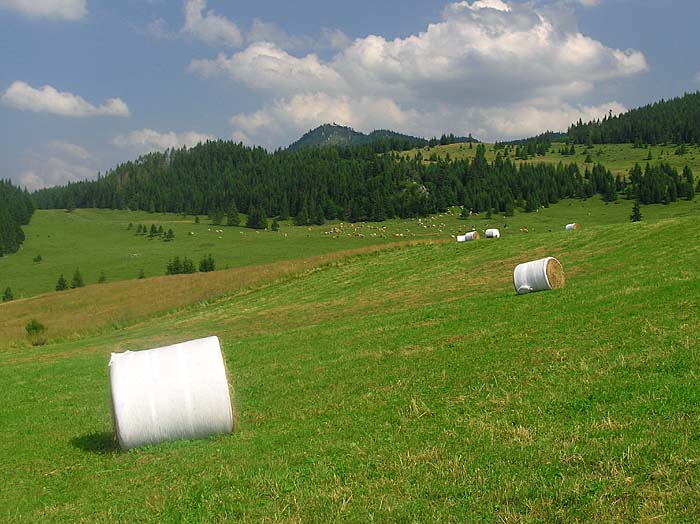 Sedlo Besnik