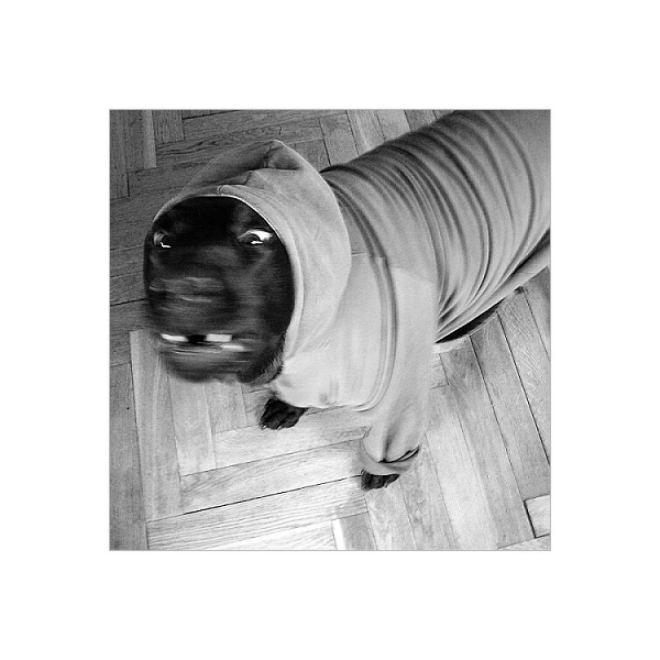 hustopes