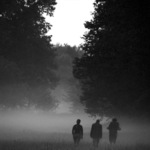 zapomenout na civilizaci II