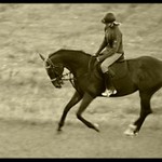 Ada jede do Prahy :)