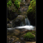 <B><U>... potôčik ... </B></U>