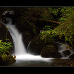 <B><U>... potôčik ... </B></U>