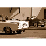 <B><U>... cecilky ... </B></U>