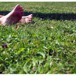 <b>[v trávě]</b><br>škoda3