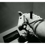 R.O.D./My little ponny [I.]