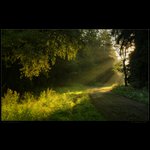 Ranní paprsky slunce