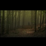 V temném lese...