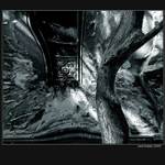 stredová gravitácia