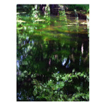 Když už je hladina klidná ...