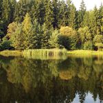 Přehrada jako zrcadlo