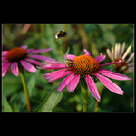 <b>Dělej já chci taky