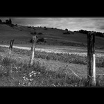 old fence