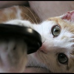 Ukaž, jak to chutná...