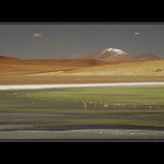 Bolivie - Salar, ráj plameňáků II