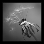 padáky připraveny!