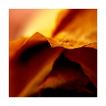 Aurea